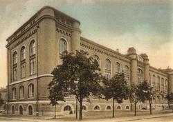 Historisk museum: Gris i snippkjole?