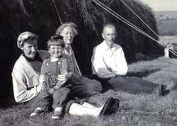 Traktoregg og gammelhesja