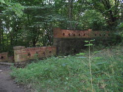 Den bortglemte hagen ved Bjølsen Valsemølle