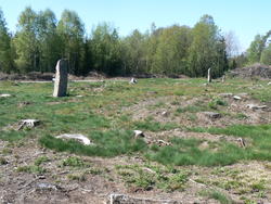 Fortellingen om Stikkelsbær
