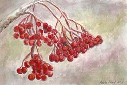 8) Luggeføre - Rognebær på naken kvist