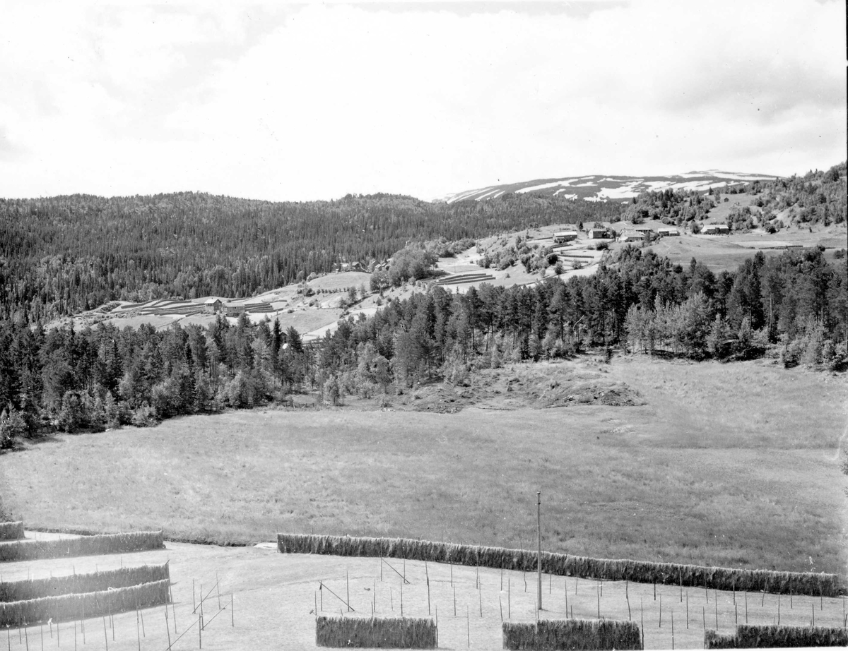Landskap og bebyggelse - Skutle og Oppheim i Voss. Hesjer forann i bildet.