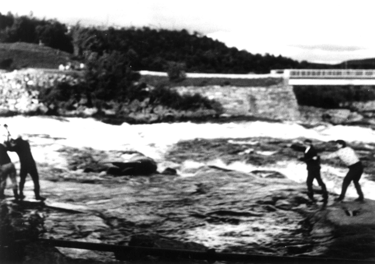 Kastenotfiske fra land i Skoltefossen. Noten kastes.I Bakgrunnen en bro. Neiden 1948.