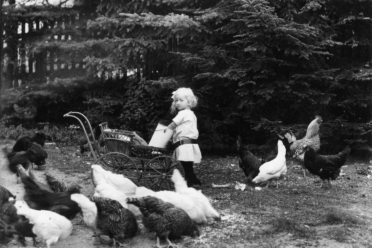 Liten jente ved en barnevogn mater høns. Luster ca. 1910-20.