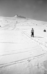 Vintermotiv. Skiløper på vei mot Storefjell påsken 1939.