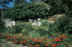 "Erigerons have". Innenfor porten er det tre plan, det høyes