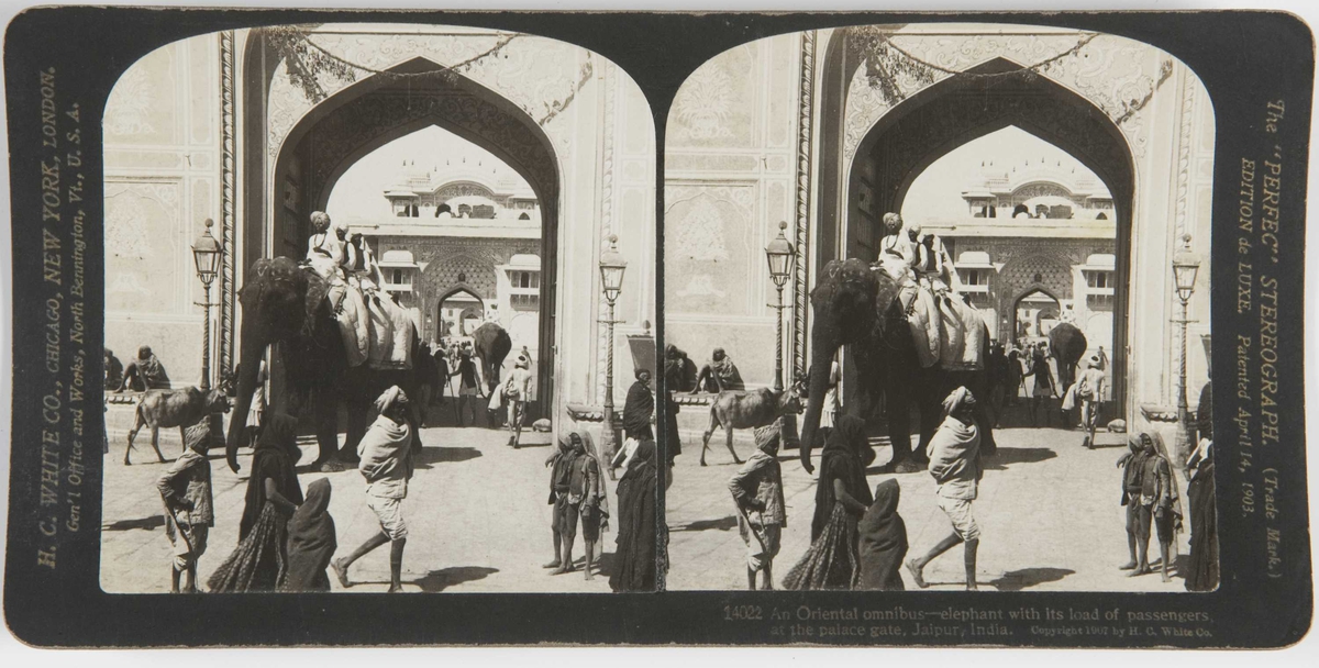 Stereoskopi. Kongelige elefanter på vei gjennom palassportal i Jaipur, India.