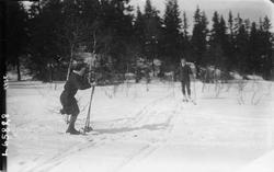 Mann og kvinne på ski i marka. Skispor.