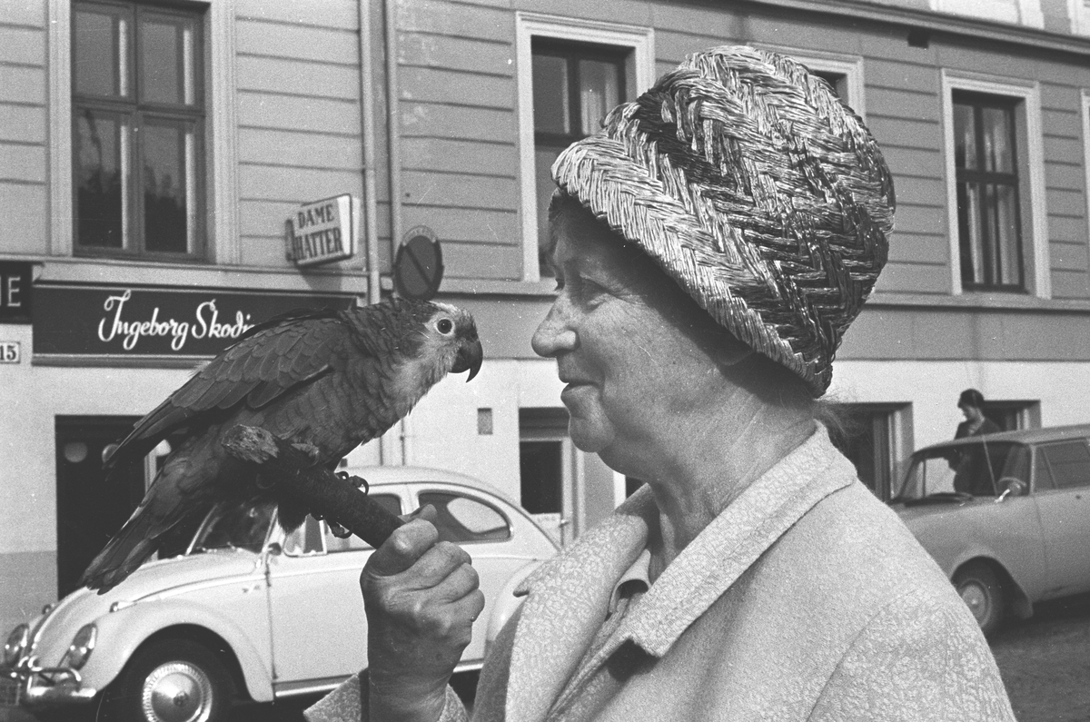 Serie bilder av fru Wally Breit (fornavn ukjent), med papegøye. 