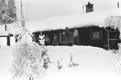 Serie bilder av Ingrid Bergman (?) julen 1959.