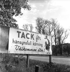 Trafikkskilter i Uddevalla. Mai 1952.