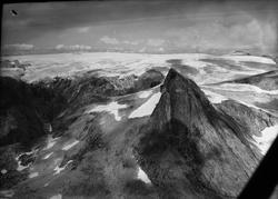 Svartisdalen, Nordland, 09.08.1954. Flyfoto av Svartisen.