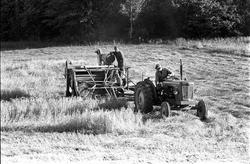 Skurdonn i Bærum, september 1962.