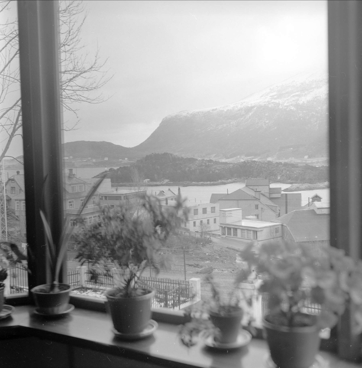 Brattvåg, Haram, april 1956. Utsikt gjennom vindu.