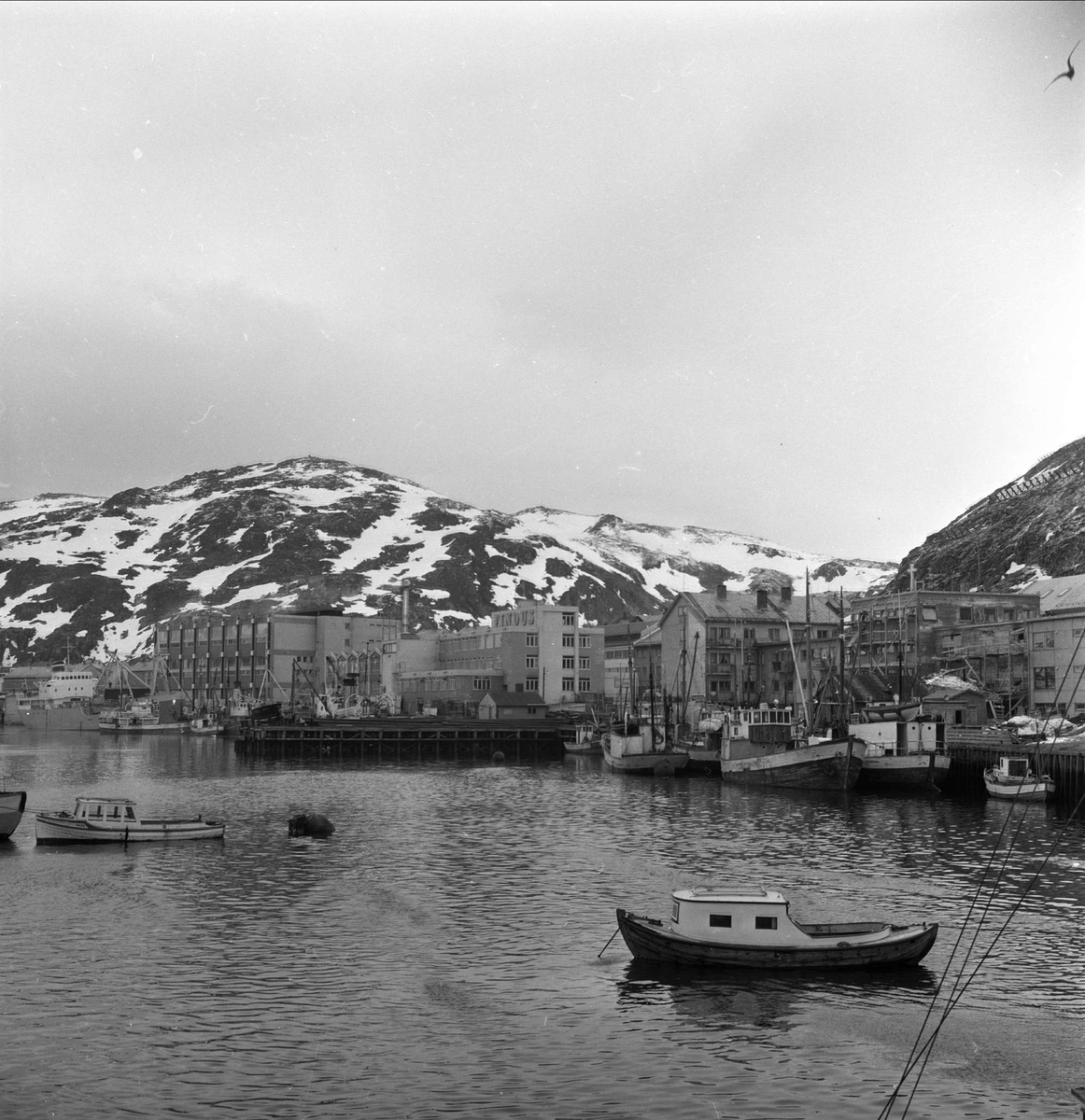 Hammerfest havn, Finmark, april 1963. 