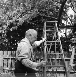Åsgårdstrand, mai 1950, arbeidsliv, hagearbeid, mann med gar