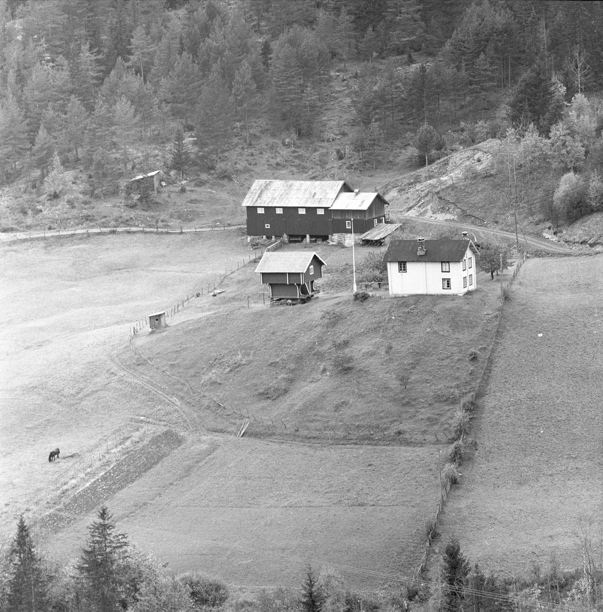 Hovin, Telemark, 1956. Den poststreikende Fossobygda. Landskap med gård.