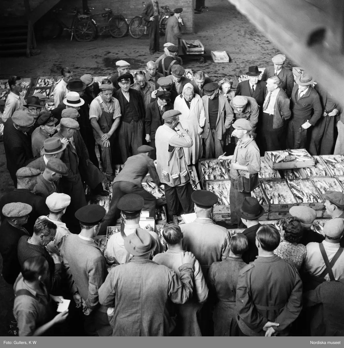 Fiskauktion. En grupp människor, mest män, kring fisklådor av trä.