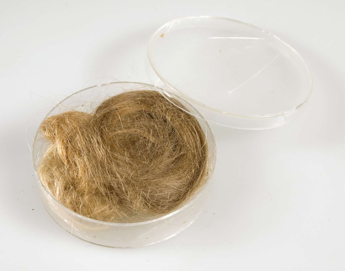 Burk av ofärgad hårdplast, innehåller tre tofsar av hår. Hårtofsarna har olika färger, blont, rödaktigt och brunt.