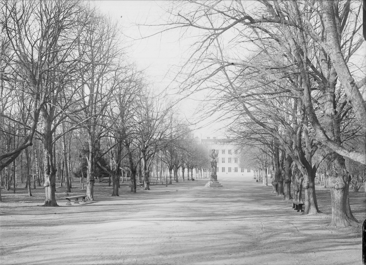 Engelska parken i Uppsala 1901 - 1902