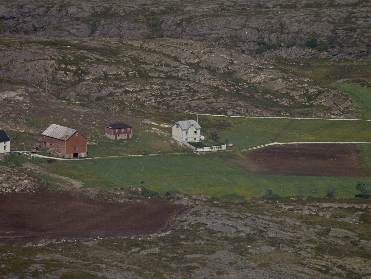Eiendommene Nygård (Havly) og Høgtun