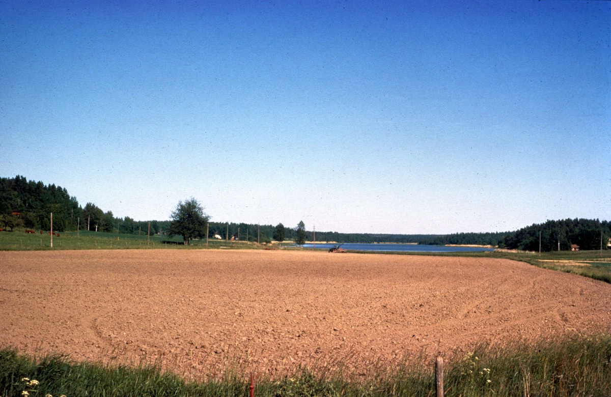 Landskapsvy, Österunda socken, Uppland 1975