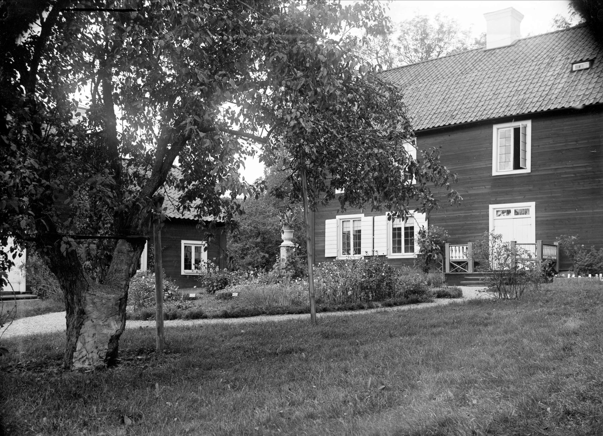 Linnés Hammarby, Danmarks socken, Uppland 1937