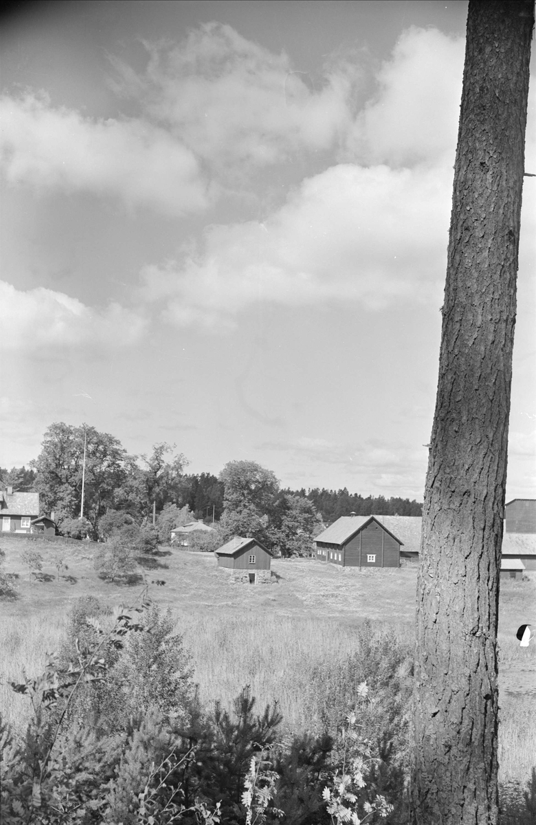 Vy över bebyggelse vid Fyrisån, Kronåsen, Uppsala