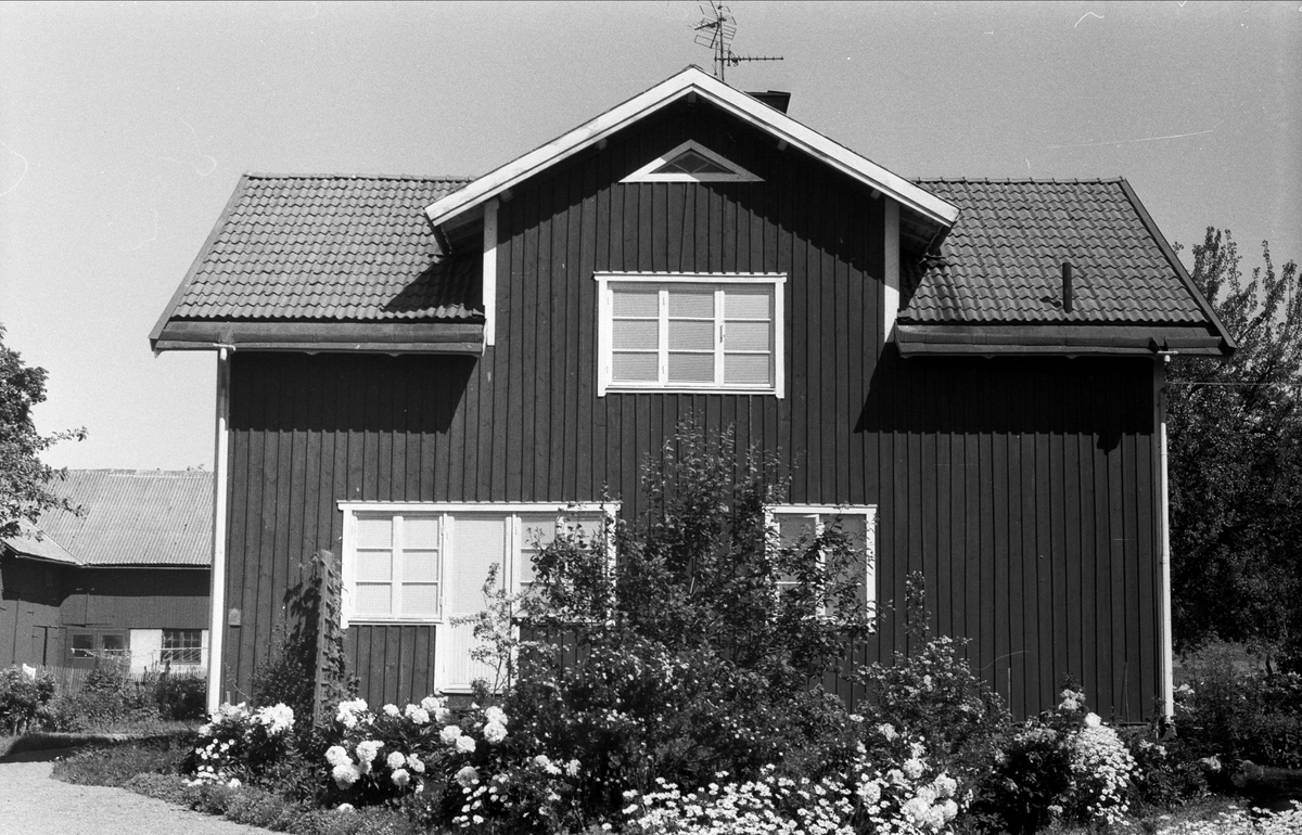 Bostadshus, Drälinge 1:4, Björklinge socken, Uppland 1976