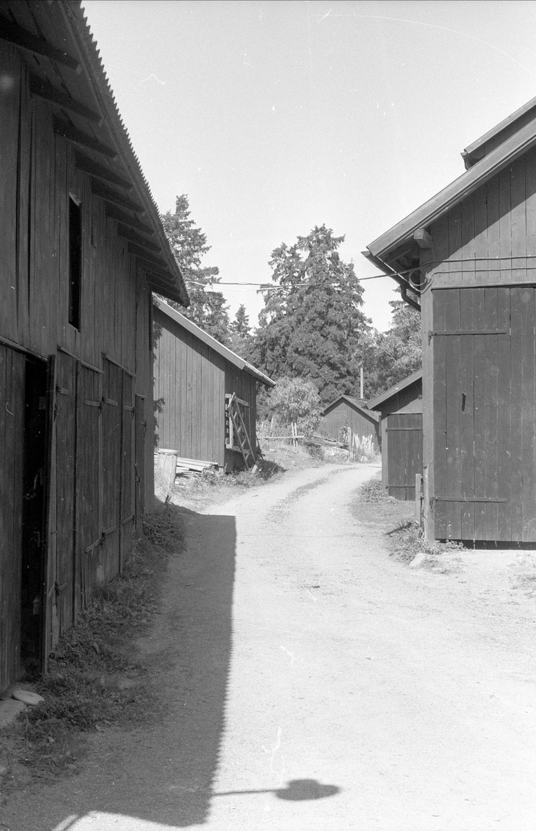 Liderbyggnader, Alsta 2:2, Börje socken, Uppland 1983