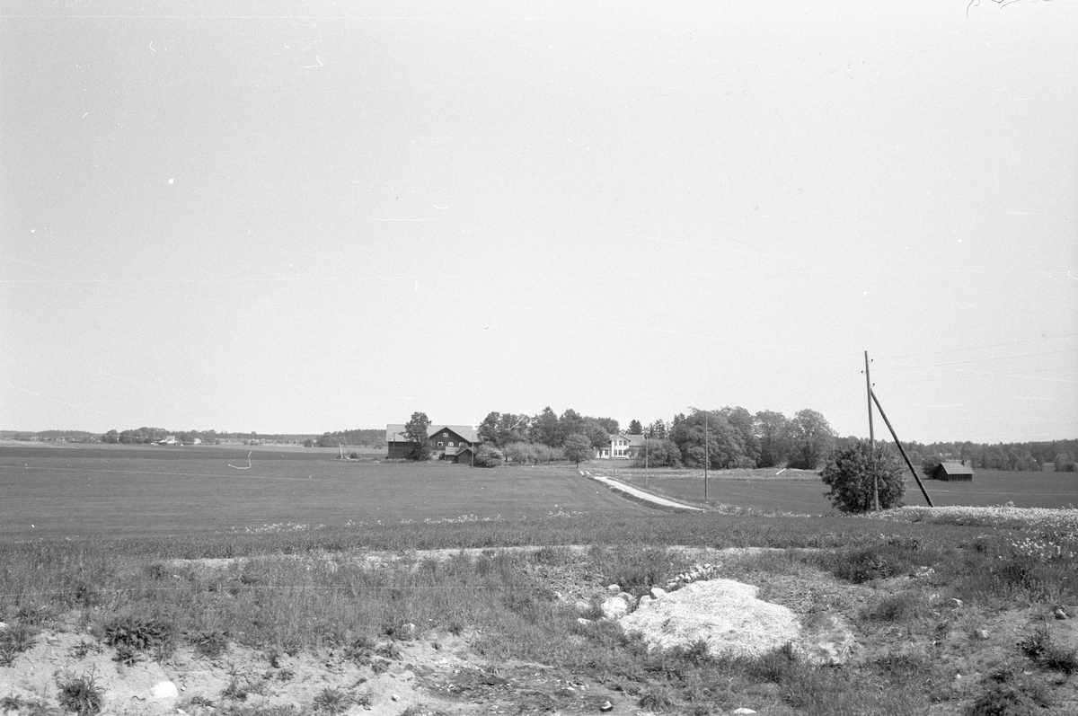 Vy från söder över Stora Skärna, Fullerö 22:2, Gamla Uppsala socken, Uppland 1977