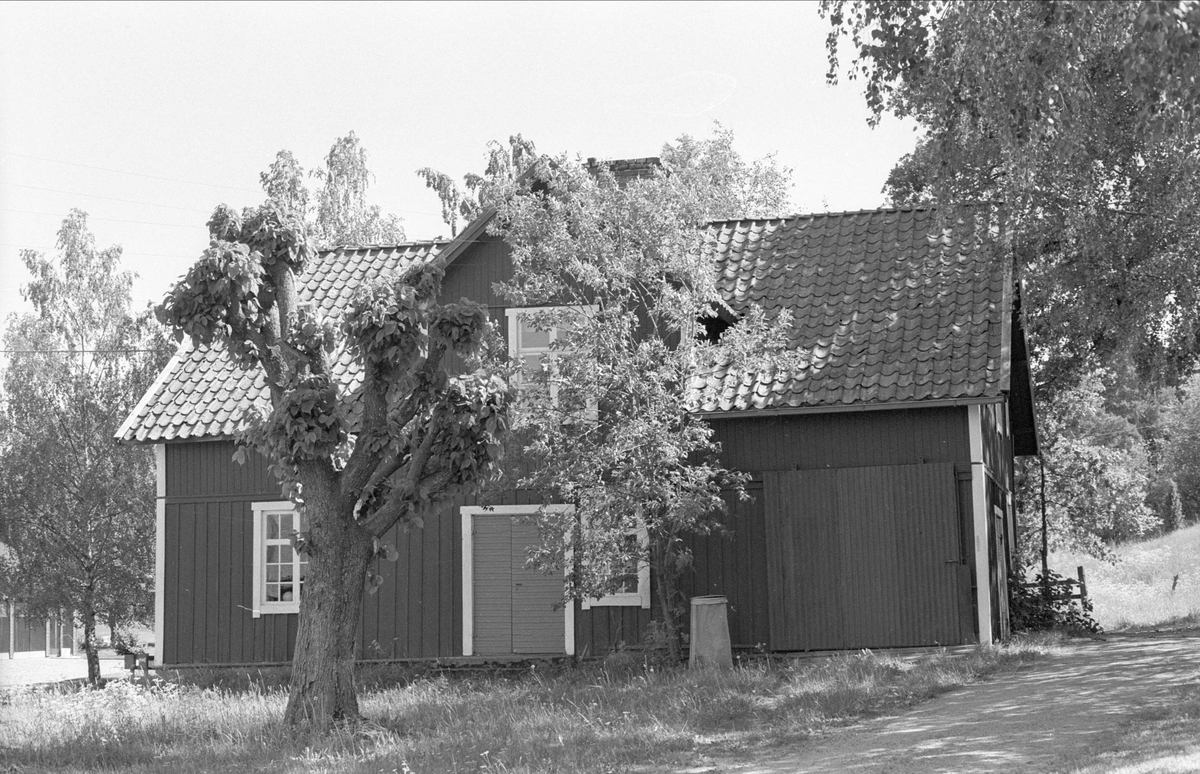 Bostadshus, tvättstuga och bod, Viggeby 1:1, Viggeby, Danmarks socken, Uppland 1977