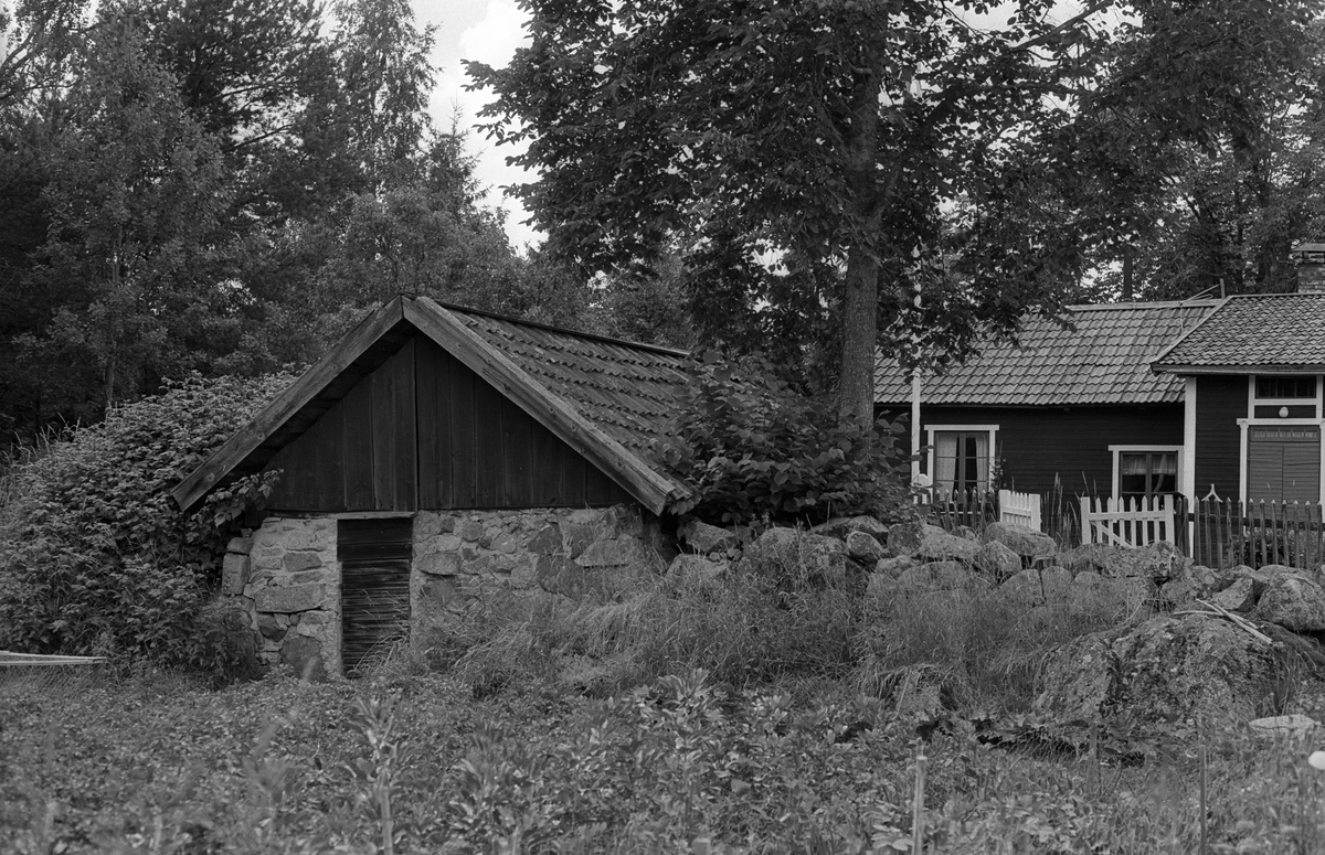 Bostadshus och källare, Hagstugan, Rasbo socken, Uppland 1982