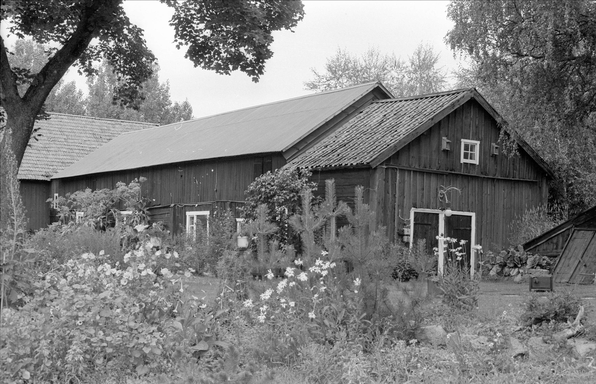 Bod och ladugård, Åkerby 1:2, Åkerby, Funbo socken, Uppland 1982