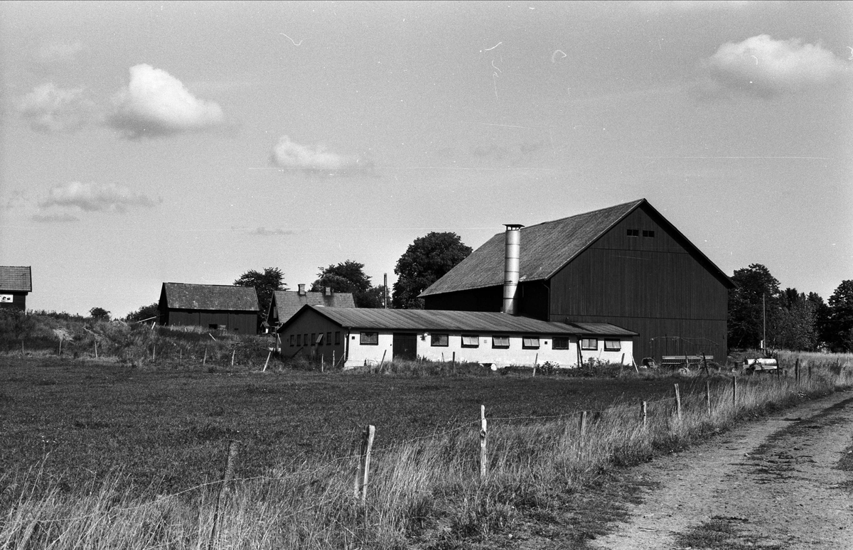 Ladugård och lada, Karby 2:1, Rasbo socken, Uppland 1982