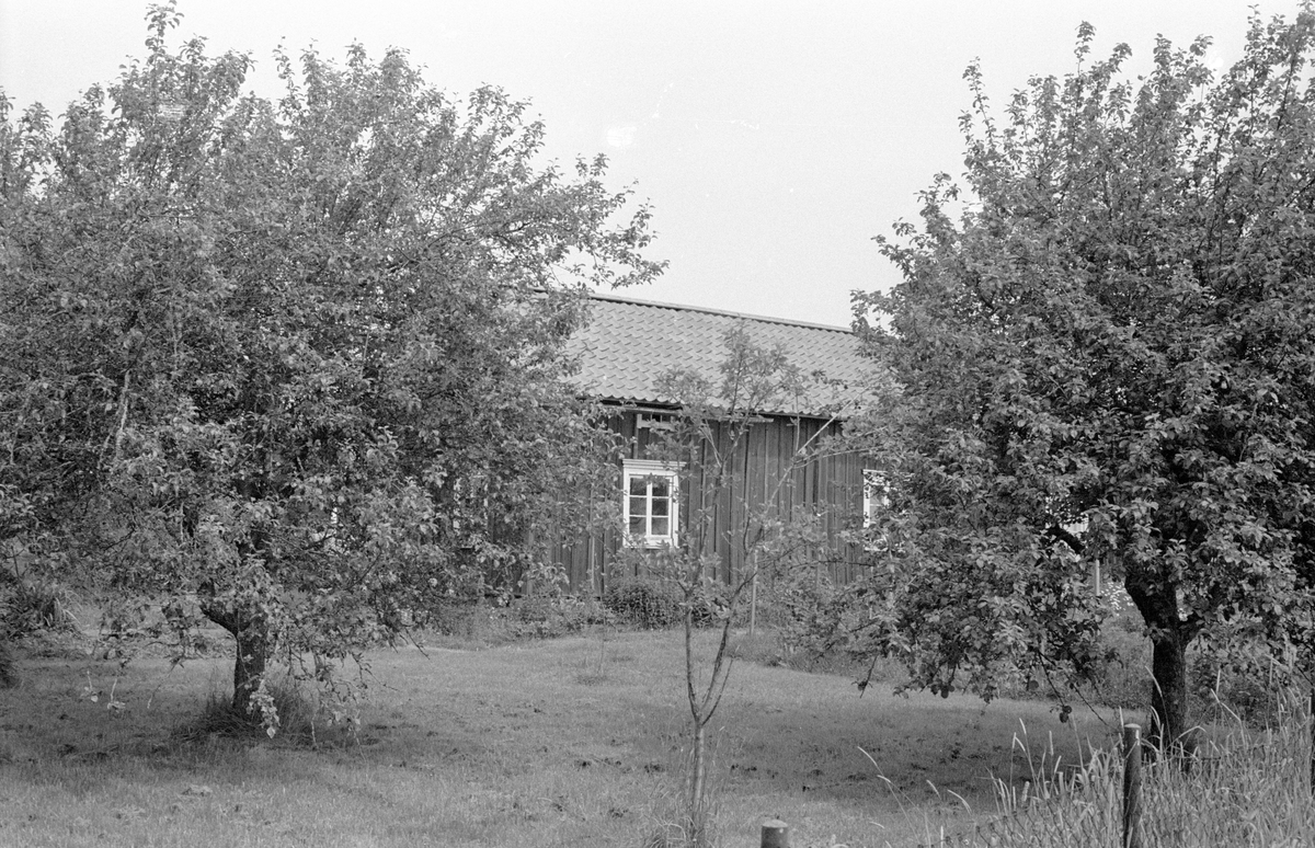 Bostadshus, Faringe 3:11 (och 3:9), Faringe, Faringe socken, Uppland 1987. 