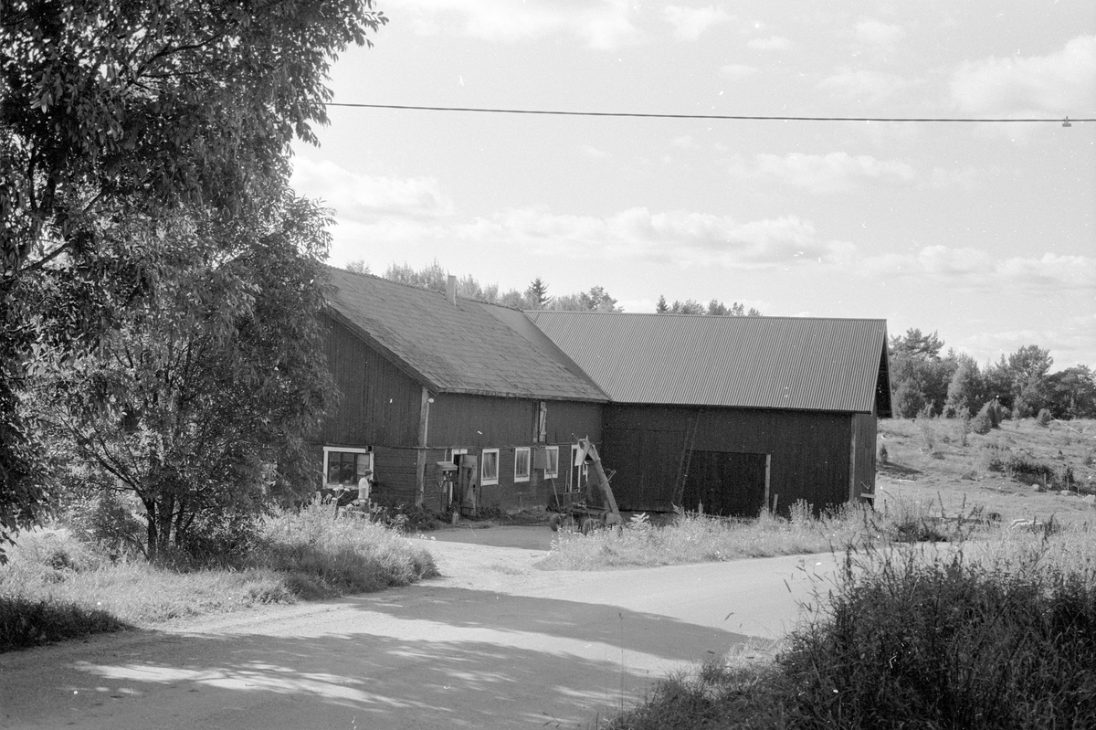 Ladugård och lada, Norrgården, Gränsta, Knutby socken, Uppland 1987