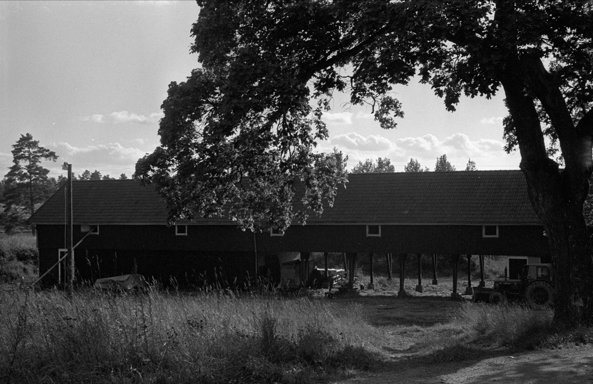 Redskapslider, Almungeberg 1:8, Almunge socken, Uppland 1987