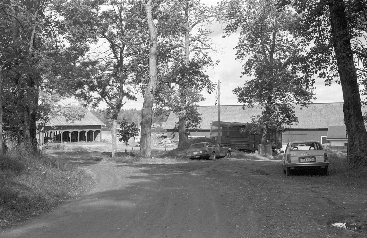 Vy över Väsby gård, Stora Väsby, Almunge socken, Uppland 1987