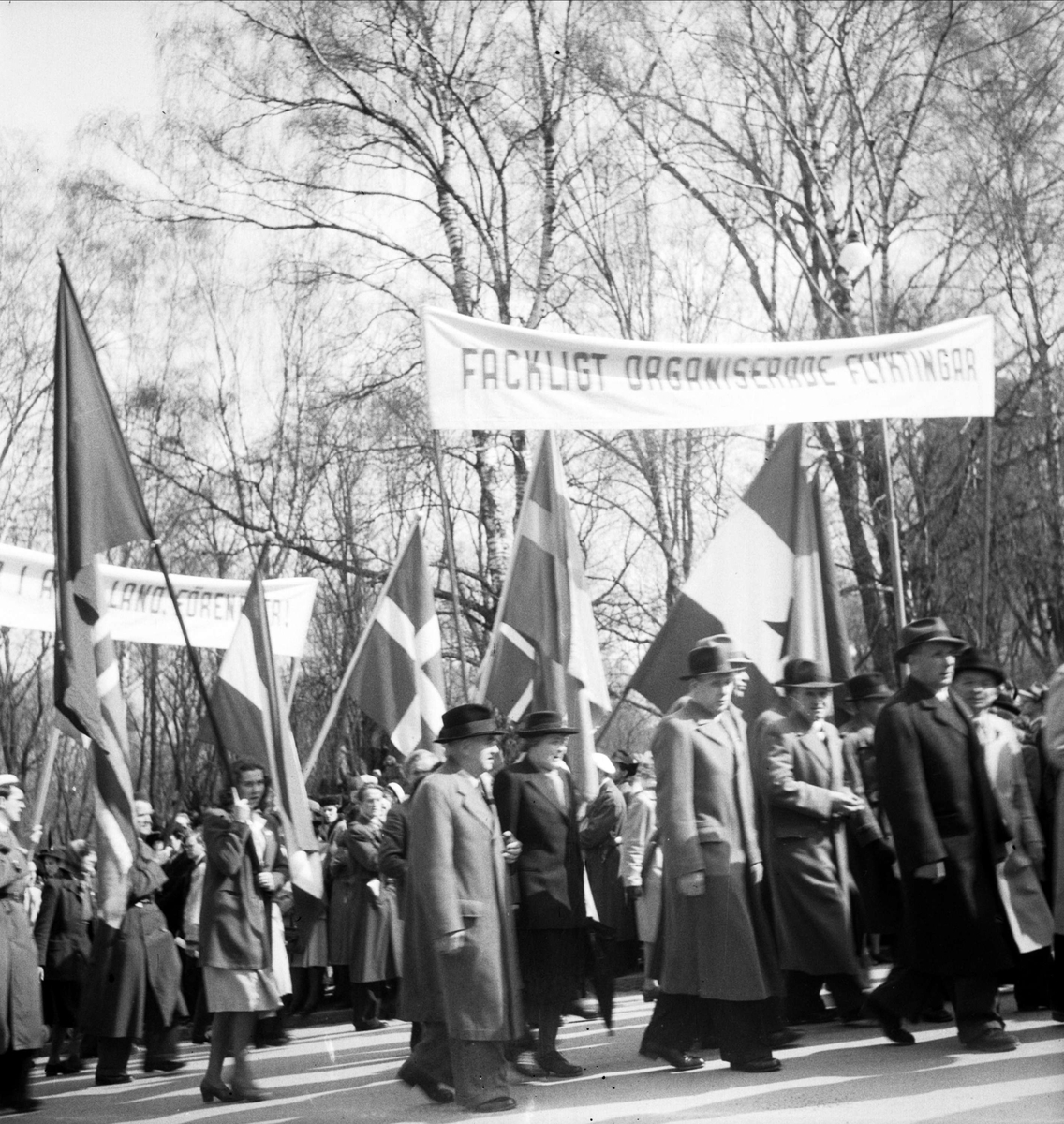 Demonstration, Uppsala