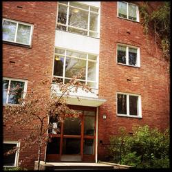 Leigårdsfunkis på sitt beste i Observatorie terrasse.