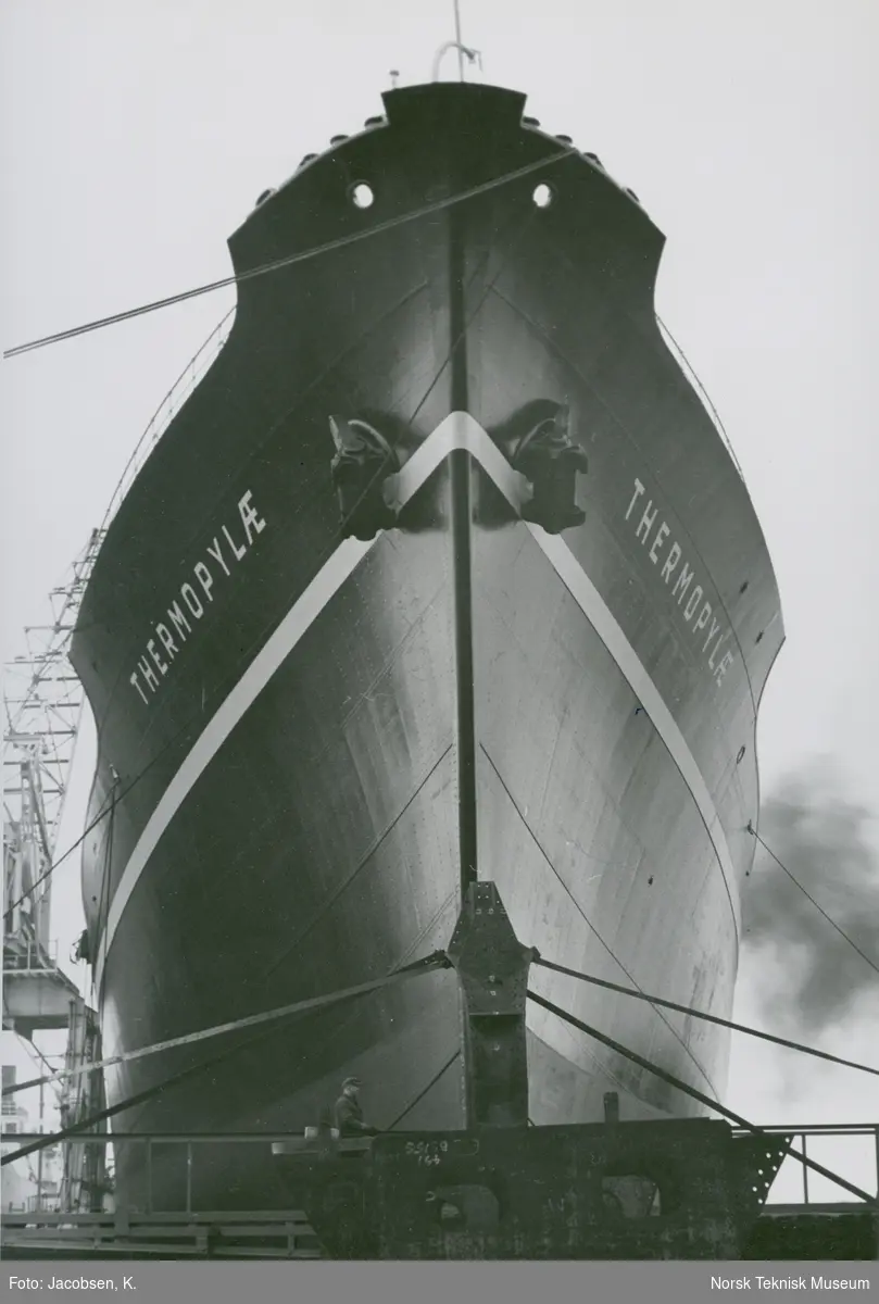 Forstevnen på cargolineren M/S Thermopylæ, B/N 483 på Akers Mek. Verksted 23. november 1949. Skipet ble levert i 1949 til Wilh. Wilhelmsen.