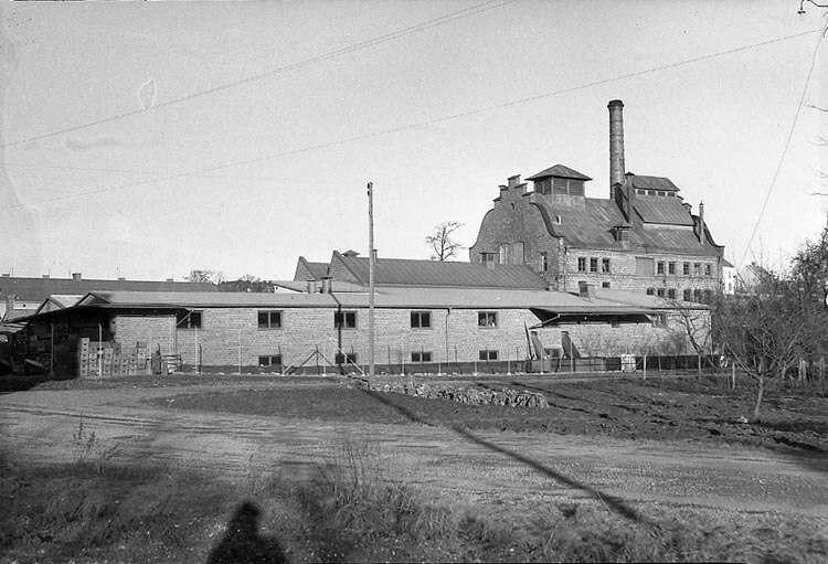 Utsiktens bryggeri 1947.