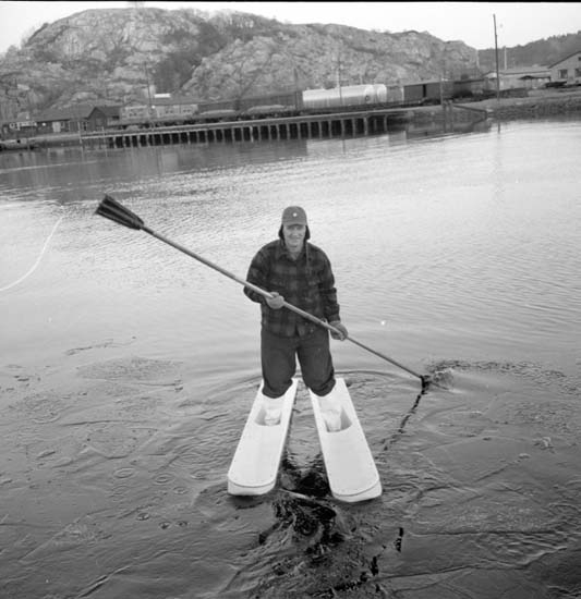 Vattenskidor Gus Erixsen 5 december 1958.