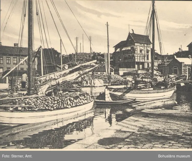Tryckt text på kortet: "Lysekil: Parti af S. hamnen".
