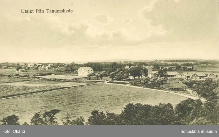 Tryckt text på kortet: "Utsikt från Tanumshede."
"J. F. Hallmans Bokhandel, Uddevalla."