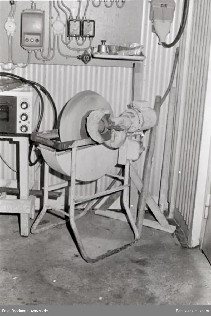Elektrisk slipmaskin på Wittes & Co, konservindustri i Lysekil
