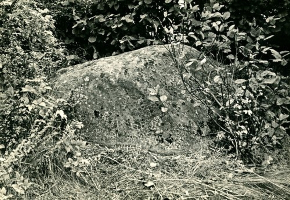 Hasslöv. RAÄ 49. Lassahusstenen från väster. Foto 1923 A Sebelius. Lassahusstenen från sydost. Foto 1923 A Sebelius.