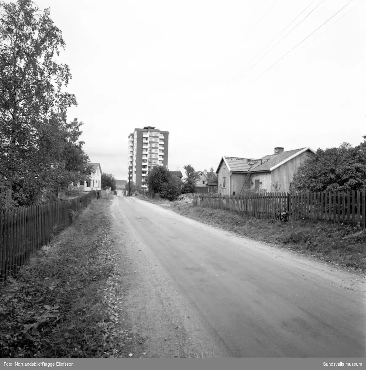 Nya höghuset på Skönsmon, fotograferat från olika håll med omgivande äldre bebyggelse.