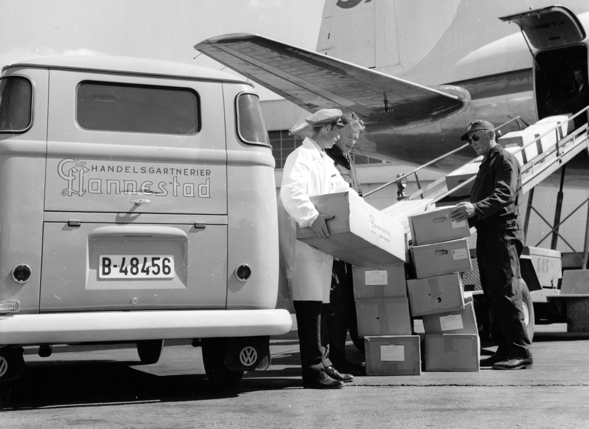 Sjåfør leverer esker med blomster fra en varebil med Chr. Hannestad Handelsgartnerier sin logo på til to SAS-ansatte som laster dem inn i et fly.